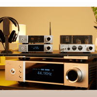 Cayin iDAC-8 variant 15