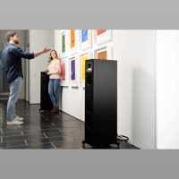 MartinLogan Motion Foundation F2 variant 23
