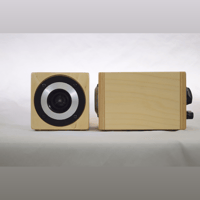 Blumenstein Audio Cricket Supertweeters - universally compatible variant 3