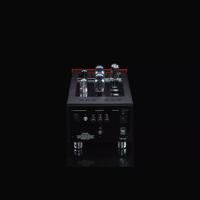 SW1x MPA I “Neptune” PP Mono Power Amplifier variant 6