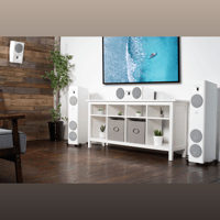 MartinLogan Motion F20 variant 1
