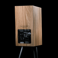 Buchardt Audio Anniversary 10 variant 3
