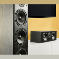 Polk Audio T30 variant 5