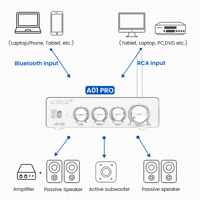Aiyima AIYIMA A01 Pro variant 3