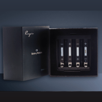 Cayin C9 Power Module variant 4