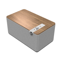 Klipsch The Three Plus variant 2