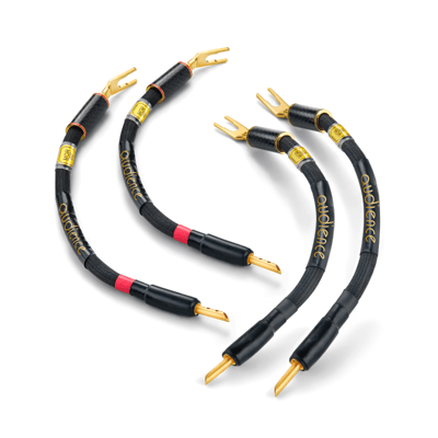 Audience frontRow Reserve jumper cable