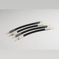 Shunyata Research SIGMA-X Speaker Cables variant 5