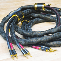 Snake River Audio Takshaka BiWire Speaker Cables variant 1