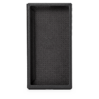 Astell & Kern PD10 Case variant 2