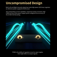 Cayin R01 R-2R Audio Motherboard variant 5