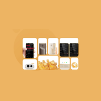 FiiO MELODY variant 2