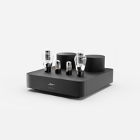 Fezz Audio Mira Ceti Mono Power Amplifier variant 5