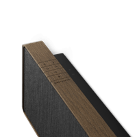 B&O-Bang & Olufsen  Beosound Stage variant 5
