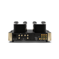 Fezz Audio Olympia Dual Mono Amplifier variant 6