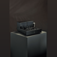 Lamm Industries ML3 Signature Amplifier variant 2