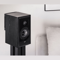 Polk Audio Legend L100 variant 6