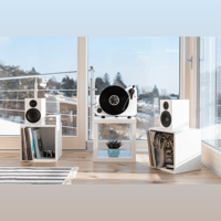 Pro-ject Audio Systems - USA VT-E BT variant 7