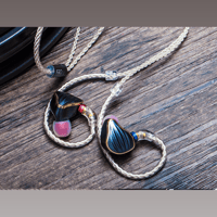 FiiO LC-2.5/3.5BS variant 7