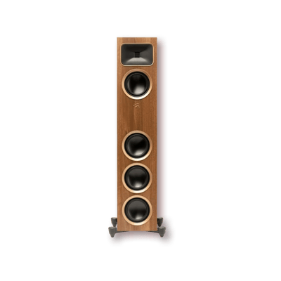 MartinLogan Motion Foundation F1