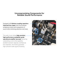 Cayin BTC-2 variant 10