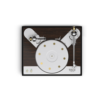 Acoustic Signature Verona NEO variant 5