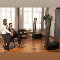 MartinLogan Impression  ESL 11A variant 46