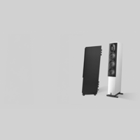 Axxess Børresen L3 Loudspeaker variant 1