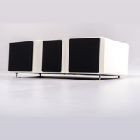 Wilson Audio WASAE Center Channel variant 3