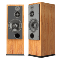 ATC - USA ATC SCM100ASLT Active Floorstanding Speakers; Pair variant 1