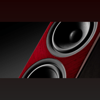 Sonus Faber Lumina V Amator variant 8