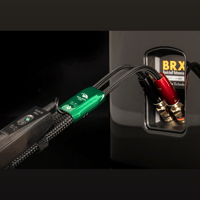 AudioQuest Robin Hood ZERO variant 4