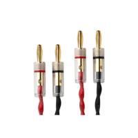 Pro-ject Audio Systems - USA Connect it LS E variant 3