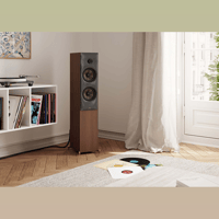 Revival Audio SPRINT 4 variant 5