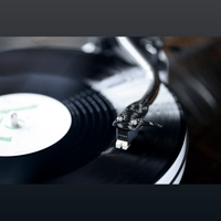 Sumiko Rainier variant 6