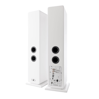 Argon Audio FORTE A55 WIFI variant 4