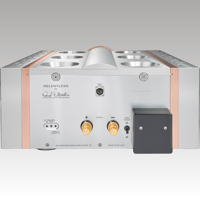 Dan D’Agostino Relentless Epic 1600 Monoblock Amplifier variant 4