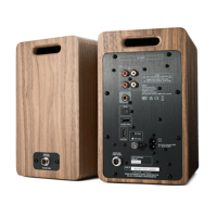 Argon Audio FORTE A4 WIFI variant 9