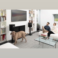 MartinLogan Motion Foundation B2 variant 46