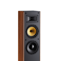 Davis Acoustics Mani MK2 variant 6