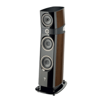 Focal Sopra N°2 variant 7