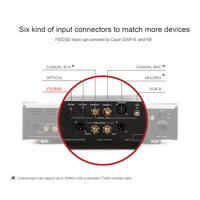 Cayin CS-100DAC variant 2