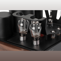 Mastersound Evo 300B variant 7