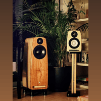 Saltwood Sounds Bookshelf Speakers variant 3