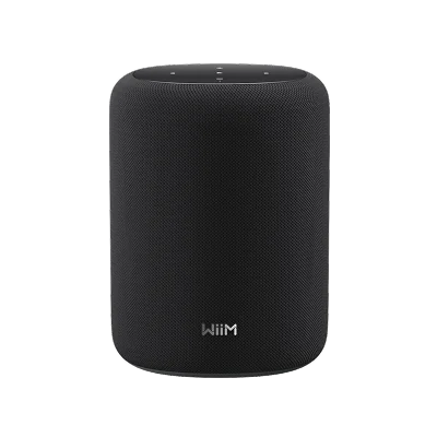 WiiM Sound Lite