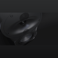 Perlisten R4b variant 6