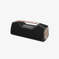 Wharfedale Exson M variant 8