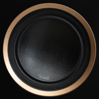 MartinLogan Motion XT F200 variant 7