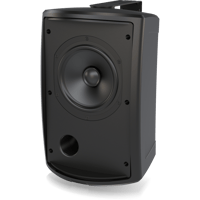 Tannoy AMS 6ICT LZ variant 6