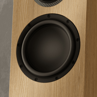 Marten Dexter Quartet variant 7